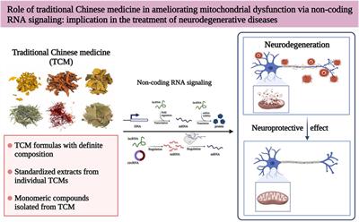 Role of traditional Chinese medicine in ameliorating mitochondrial dysfunction via non-coding RNA signaling: Implication in the treatment of neurodegenerative diseases